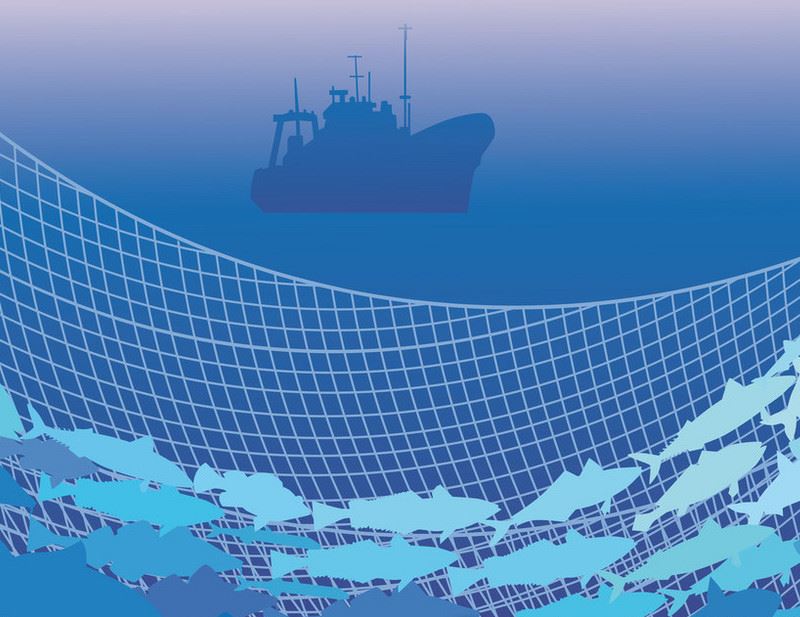 Trawling Trawling