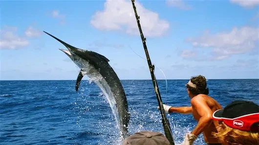 Sea fishing Sea fishing
